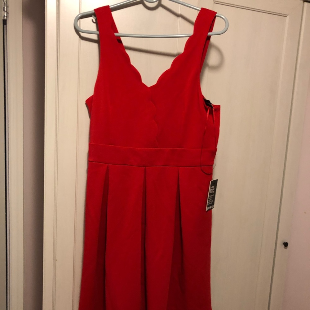 Express Skater Dress